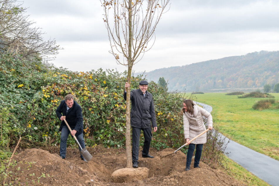 Pflanzen den ersten Baum fürs "Grüne Band": Coswig-OB Thomas Schubert (49, parteilos, l.) mit Meißen-OB Olaf Raschke (58, parteilos) und Coswig-Finanzbürgermeisterin Friederike Trommer (45).