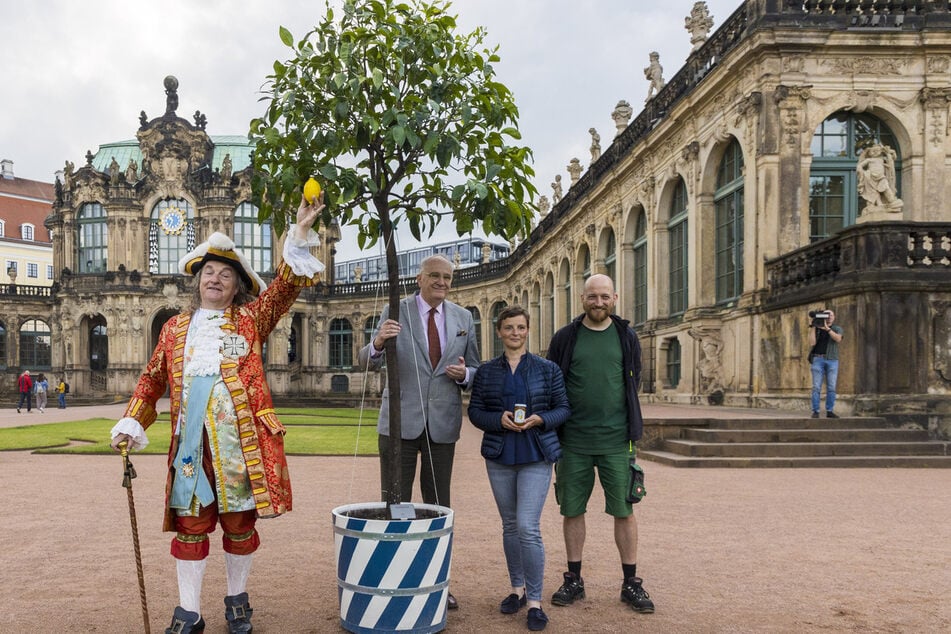 Stephan Reher (62, l.) freut sich in Gestalt August des Starken über die Rückkehr seiner Orangenbäume.