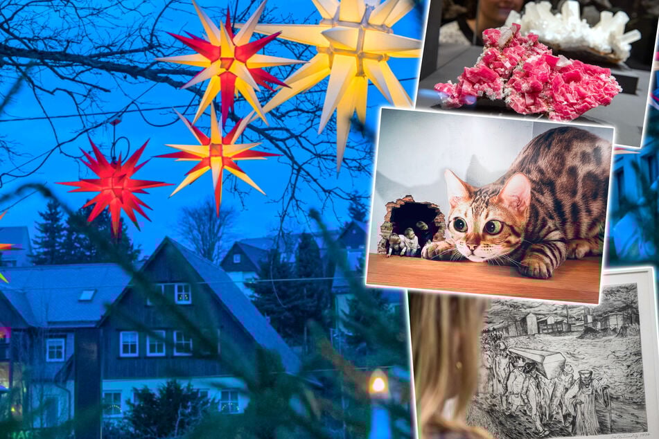 Dresden: Mit diesen 8 Tipps bleibt Ihr am Sonntag garantiert nicht zu Hause