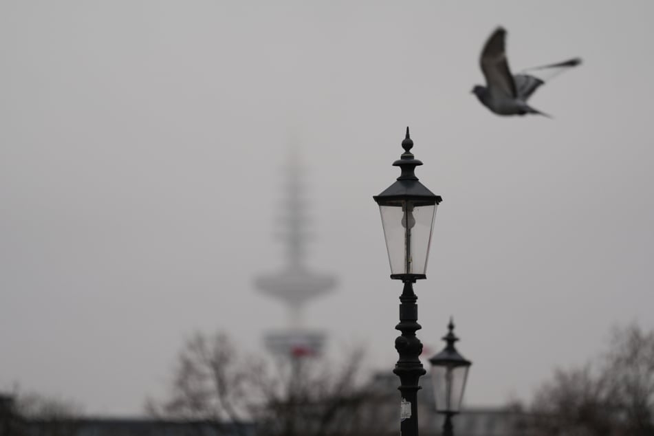 Die Aussichten für Hamburg sind zum Wochenstart trüb.