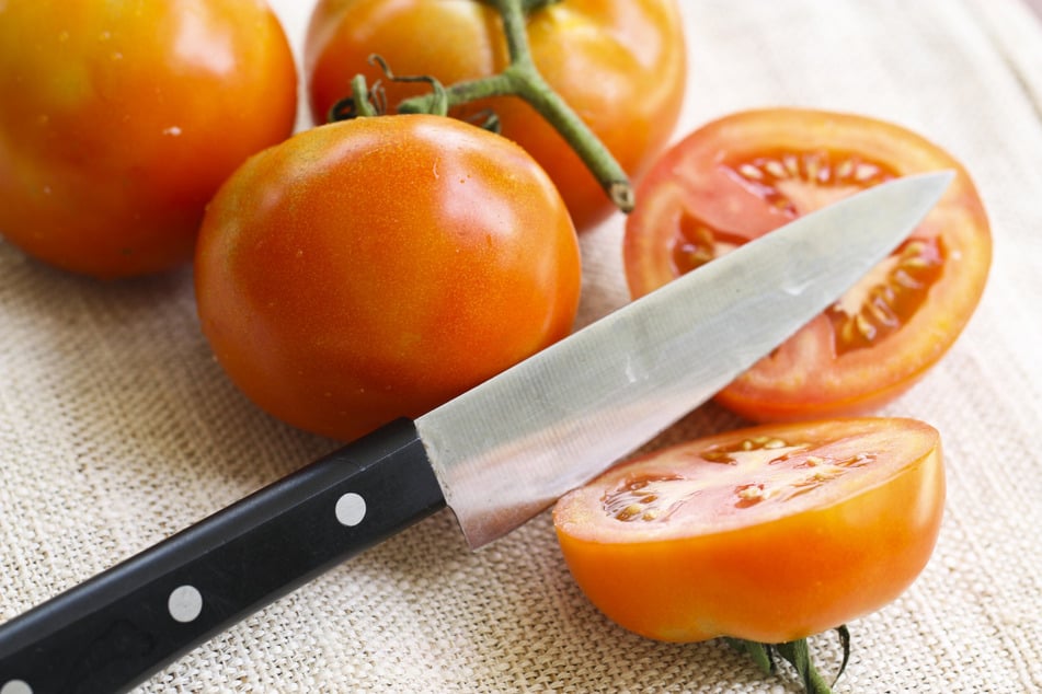 Grüne Stellen kann man bei Tomaten abschneiden. Giftig ist der Grünkragen jedoch nicht.