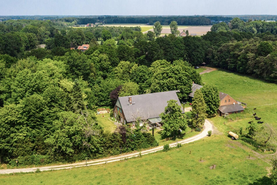 In diesem Haus im nordrhein-westfälischen Bocholt wird "Das Sommerhaus der Stars" gedreht.