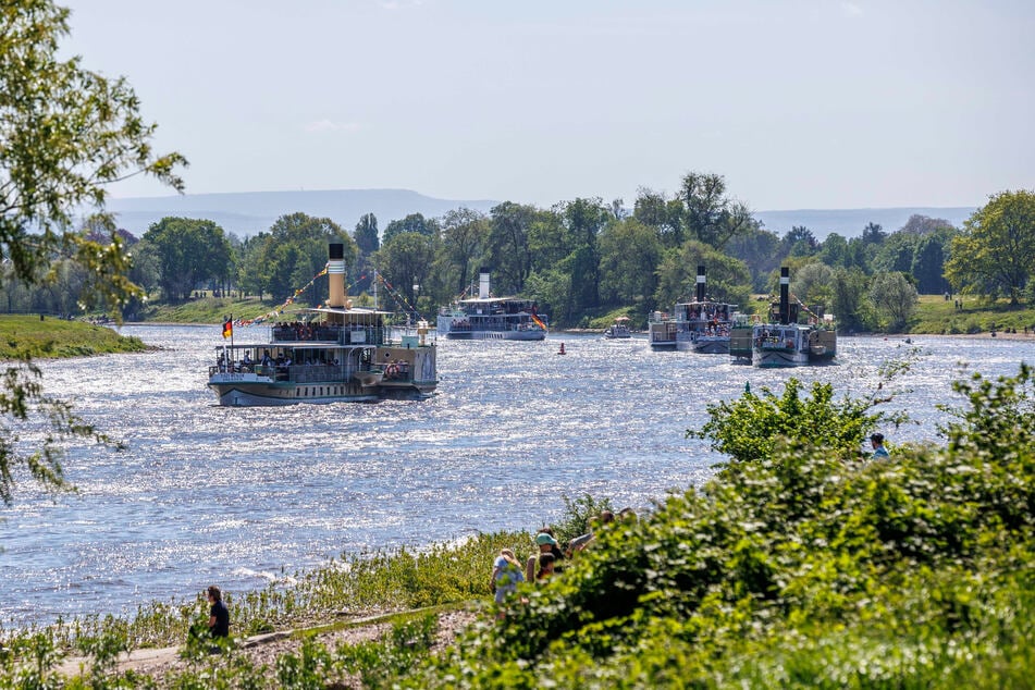 Schaulustige an den Elbufern, begeisterte Passagiere an Bord - so geht die alljährliche Dampferparade zum 1. Mai.