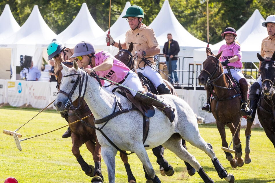 Im vorigen Jahr fand nach 110 Jahren das erste Poloturnier auf der Galopprennbahn statt.