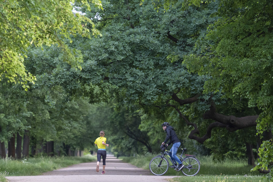 Am gestrigen Sonntag gab es gleich zwei Unfälle im Großen Garten in Dresden. (Archivfoto)