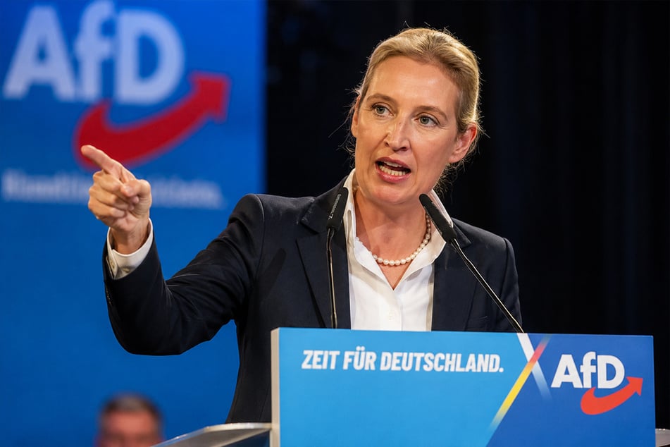 Muss die Brandmauer weg? Warum der Schutzwall die AfD nur stärker macht