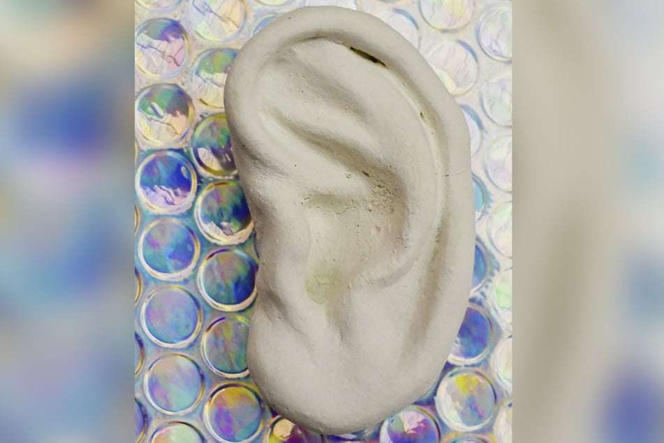 Das Ohr aus Gips (25 Euro) stammt von Hannah Doepke.