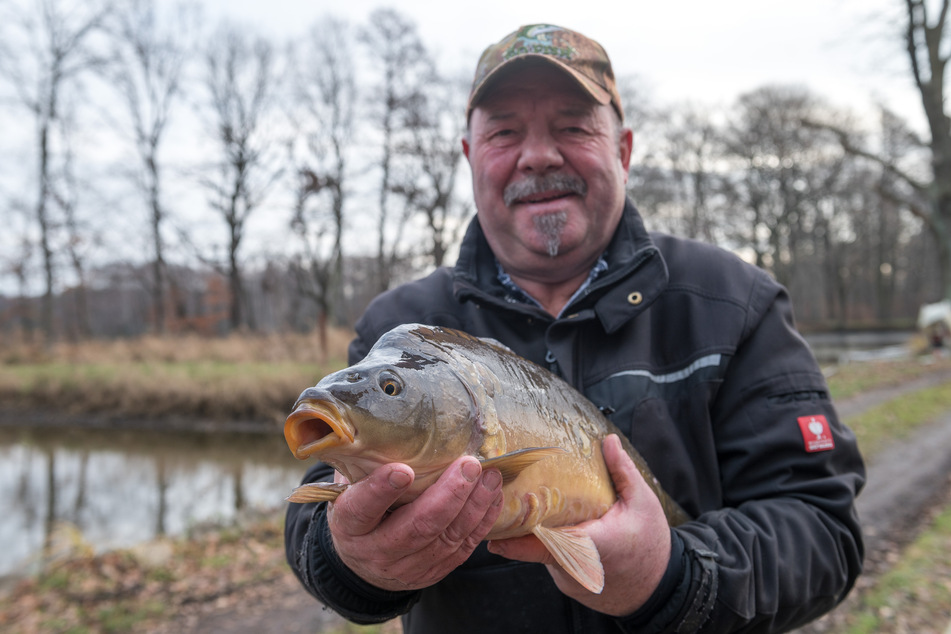 "Darf es dieser Karpfen sein?", fragt Armin Kittner (58). Sein Fischereihof in Petershain züchtet und vermarktet neben Fisch auch Wild aus der Region.