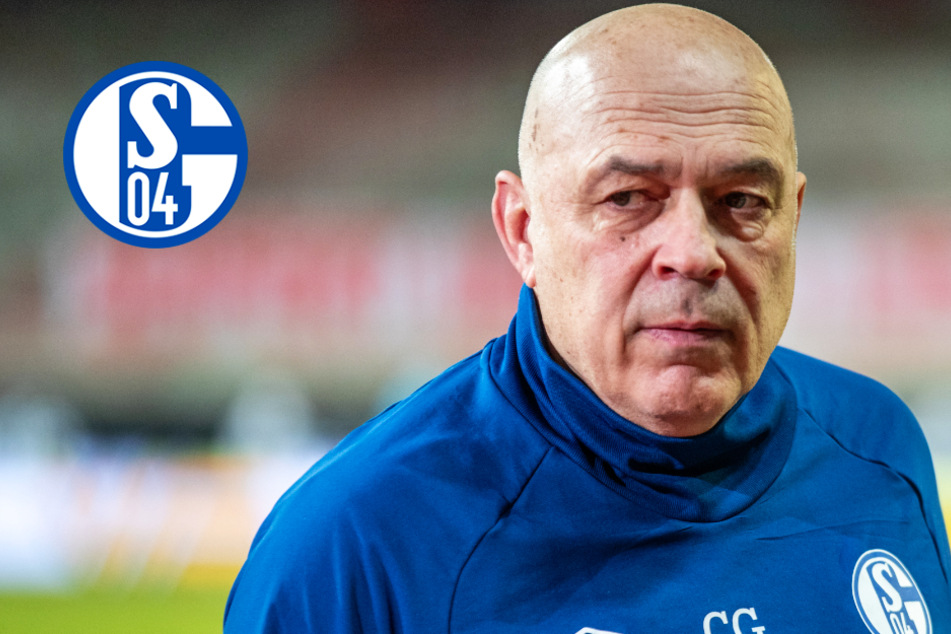 Revolte auf Schalke! Führungsspieler wollen Ablösung von Chefcoach Christian Gross