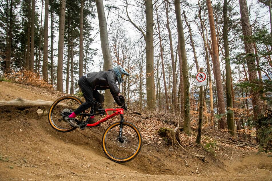 Wer in NRW mit dem Rad durch den Wald fahren möchte, muss in Zukunft aufpassen, denn es drohen Bußgelder. (Symbolbild)