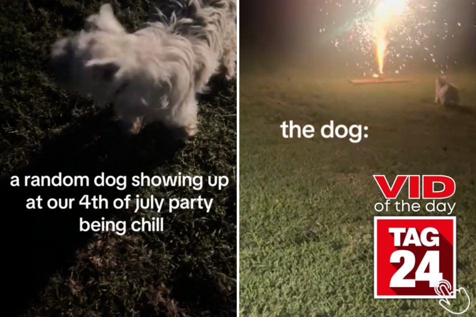 Today's Viral Video of the Day features a hilarious moment when a dog ran up to fireworks during a Fourth of July party!