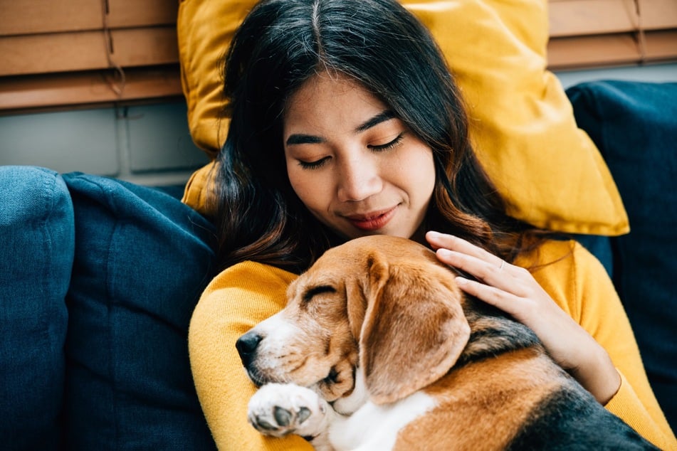 Gemeinsames Kuscheln fördert die Hund-Mensch-Bindung enorm.