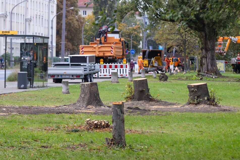 Blick auf die Nürnberger Straße.