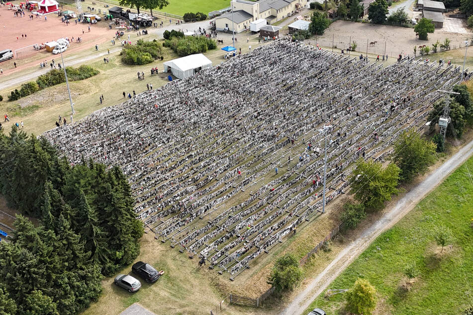Rund 150.000 Strümpfe wurden aufgehängt.