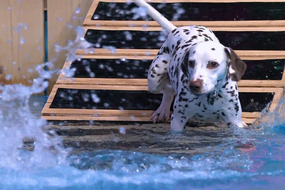 Bei der Pool-Challenge wird die Sechsjährige etwas abgelenkt.