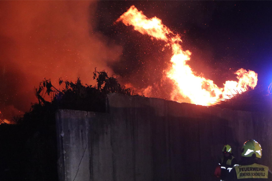 Berlin: Stundenlanger Großeinsatz der Feuerwehr: Schönefelder Abfallhof steht in Flammen