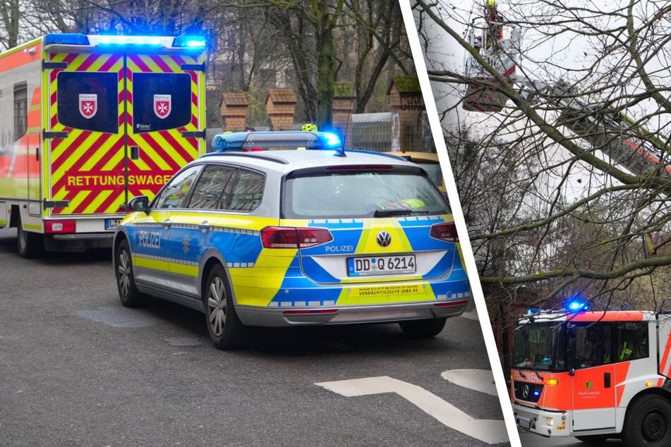 Leipzig: Brand-Serie geht weiter: Wieder Feuer in Leipziger Park, ein Verletzter