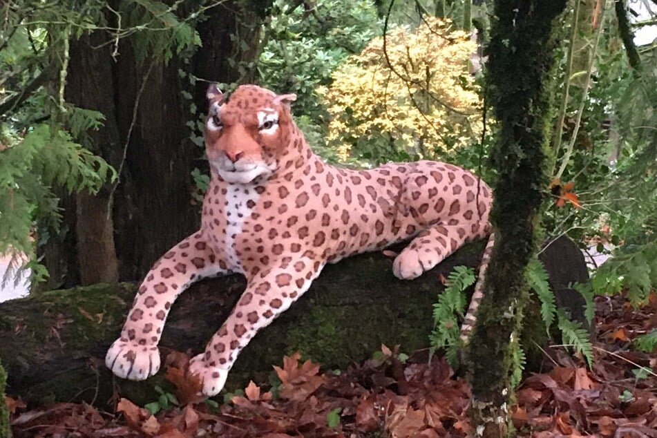 On closer inspection, the big cat turned out to be a stuffed animal.