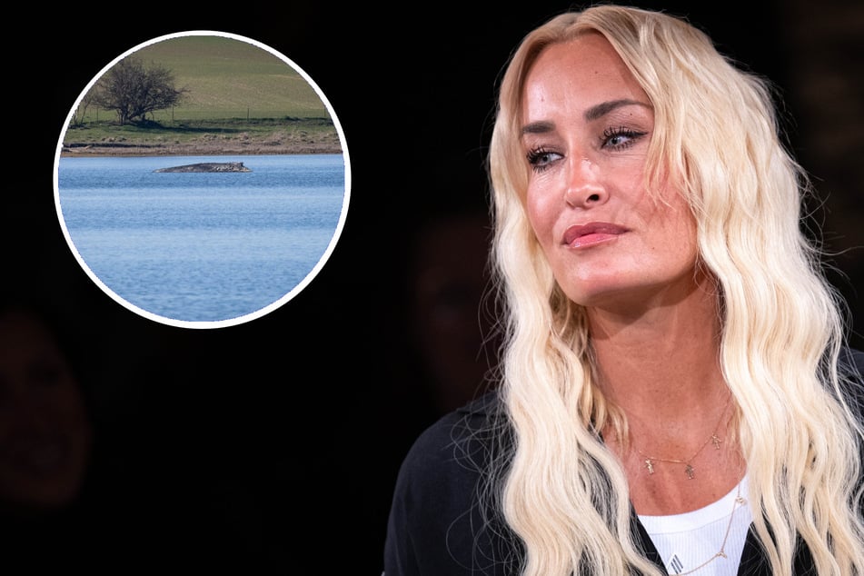 Auch Sarah Connor (45) würde alles daransetzen, um den Buckelwal Timmy zu retten.