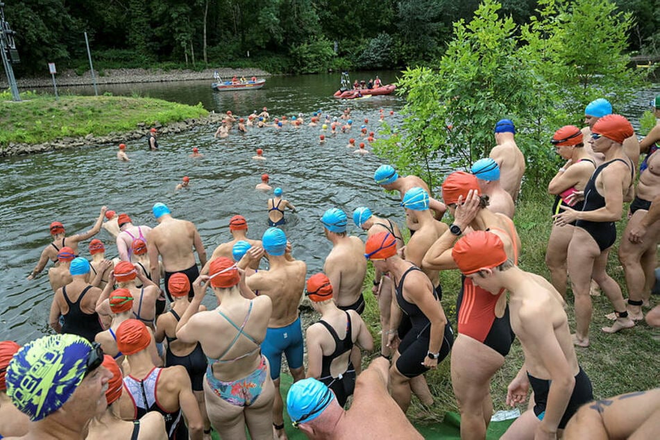 Dutzende Teilnehmer kamen am Samstag zum Wettkampfschwimmen in der Saale zusammen.