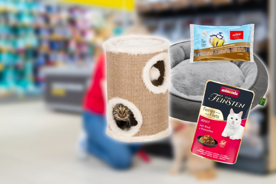 Große Black Week-Aktion bei DAS FUTTERHAUS: Wir zeigen die besten Angebote