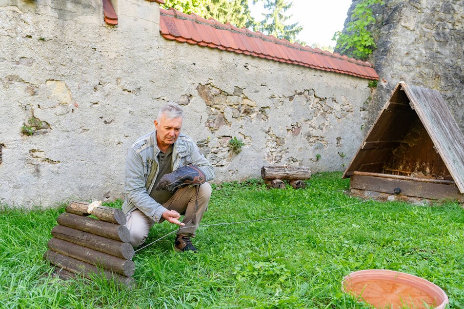 Am Tatort des Geschehens legt der Falkner seit dem Vorfall jeden Abend Futter für die Uhu-Dame hin, um sie wieder anzulocken.
