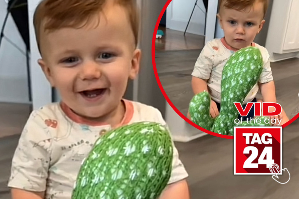 viral videos: Viral Video of the Day for August 15, 2023: Toddler reacts hilariously to toy cactus