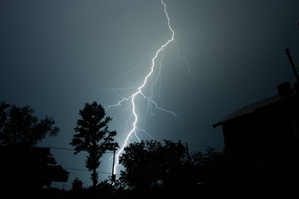 Bei einem Gewitter sollte man sich auf keinen Fall unter einen Baum stellen.