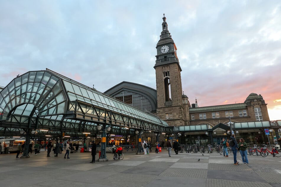 Am Hamburger Hauptbahnhof stürzte am Mittwoch eine Frau (69) ins Gleisbett.