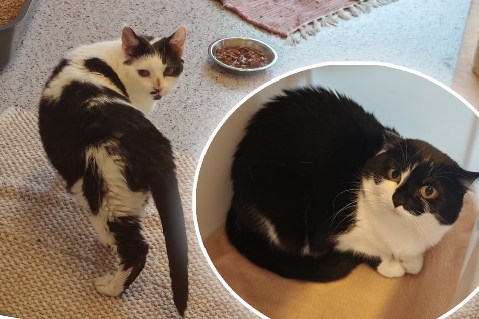 Dori (l.) und Poppy suchen ein gemeinsames Zuhause.