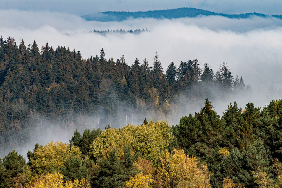 Die Natur soll in Bayern stärker im Fokus stehen.