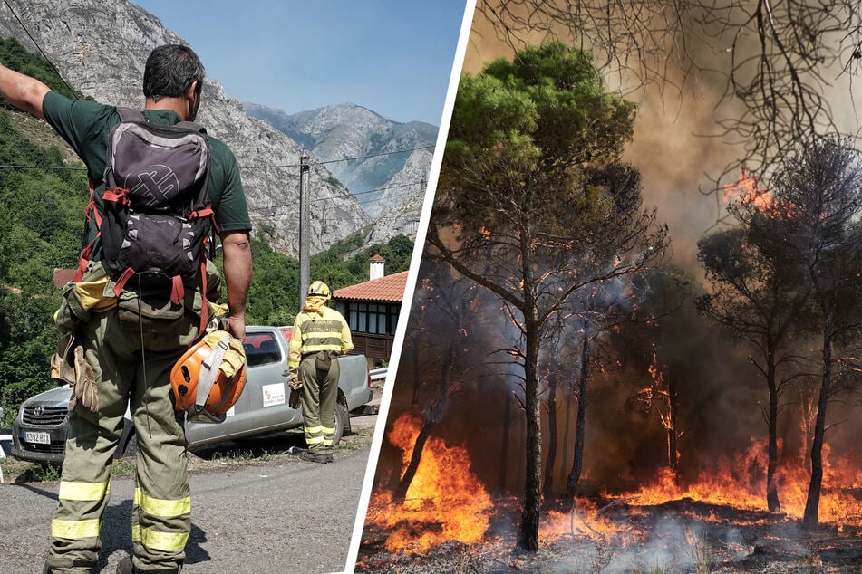 Verheerender Waldbrand in Spanien: Mindestens zwölf Menschen sterben, mehrere Orte evakuiert