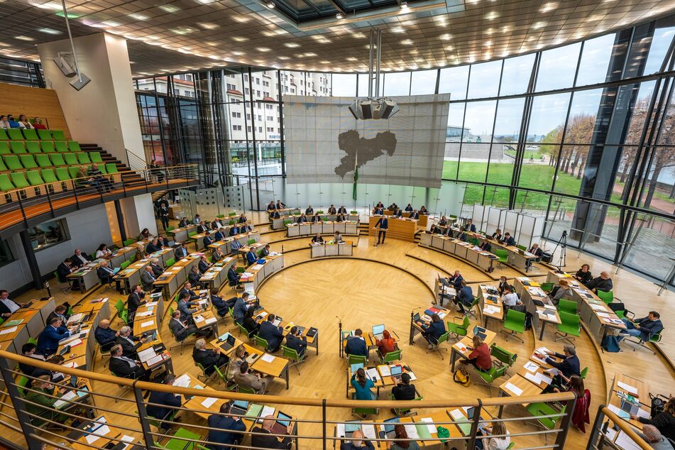 Das Territorium der politischen Wölfe. Im Sächsischen Landtag gibt es unterschiedliche Sichtweisen im Umgang mit den Wölfen.