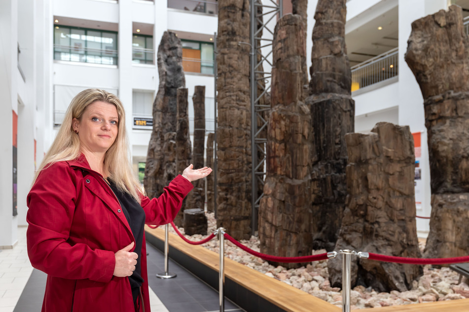 OB-Kandidatin Susanne Schaper (42, Linke) möchte Kita-Erzieherinnen Gutscheine zukommen lassen, beispielsweise fürs Naturkundemuseum.