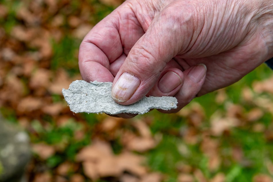 Solche asbesthaltigen Bruchstücke liegen im ganzen Garten verteilt.