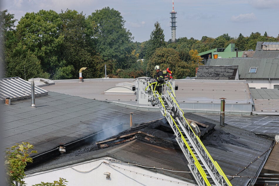 Mit einer Drehleiter konnten die Einsatzkräfte das Feuer auf dem Dach der Gewerbehalle schnell unter Kontrolle bringen.