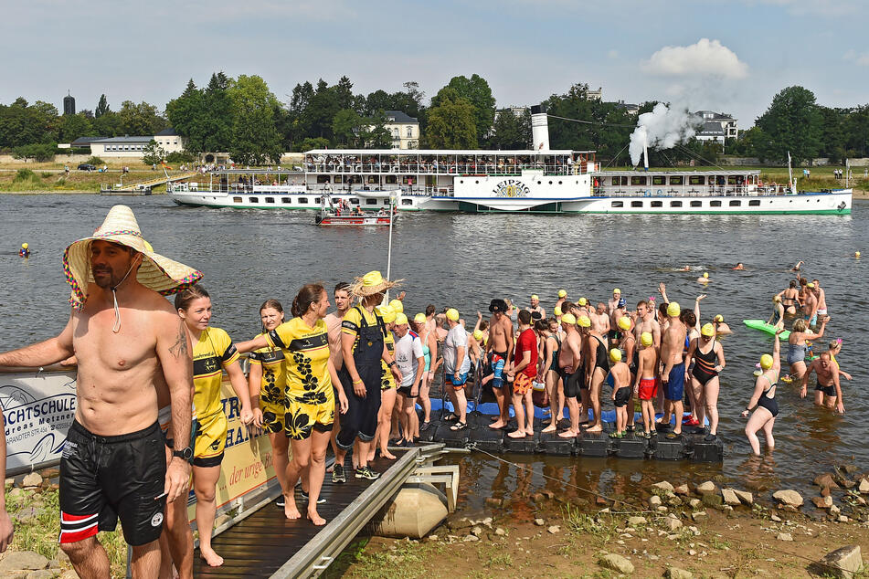 Das traditionelle Elbeschwimmen findet am Sonntag in Dresden statt.