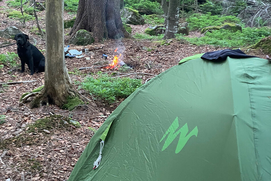 Wildcamper im Bayerischen Wald. Kaum ein Tag vergeht, an dem die Ranger niemanden erwischen.