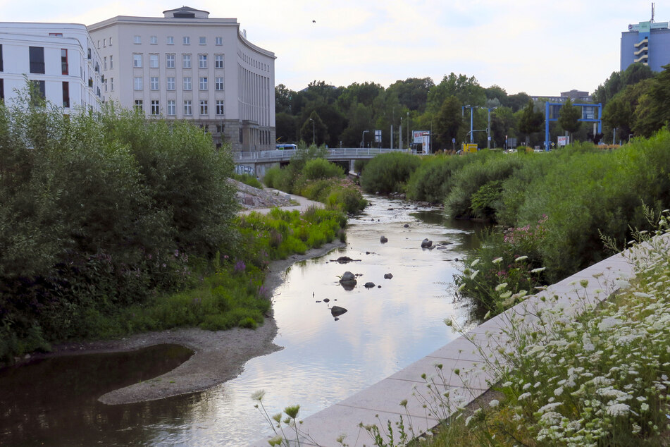 Chemnitz: Bis zu 50.000 Euro Strafe: Chemnitz verbietet Wasserentnahme