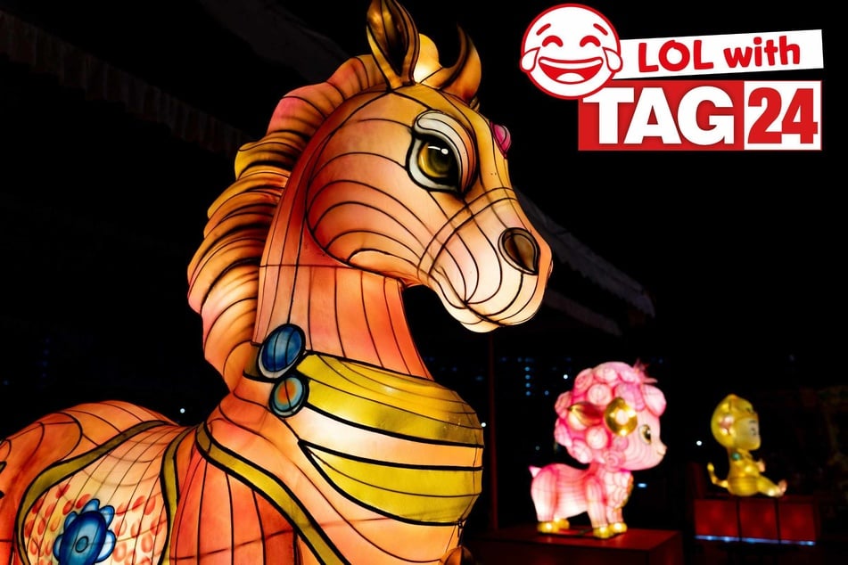 Joke of the Night for February 17, 2026: A funny to celebrate Chinese New Year.