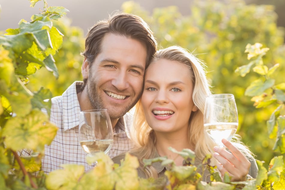 Wein aus der Region, Livemusik und buntes Treiben locken am Wochenende zum Winzerstraßenfest nach Weinböhla. (Symbolfoto)