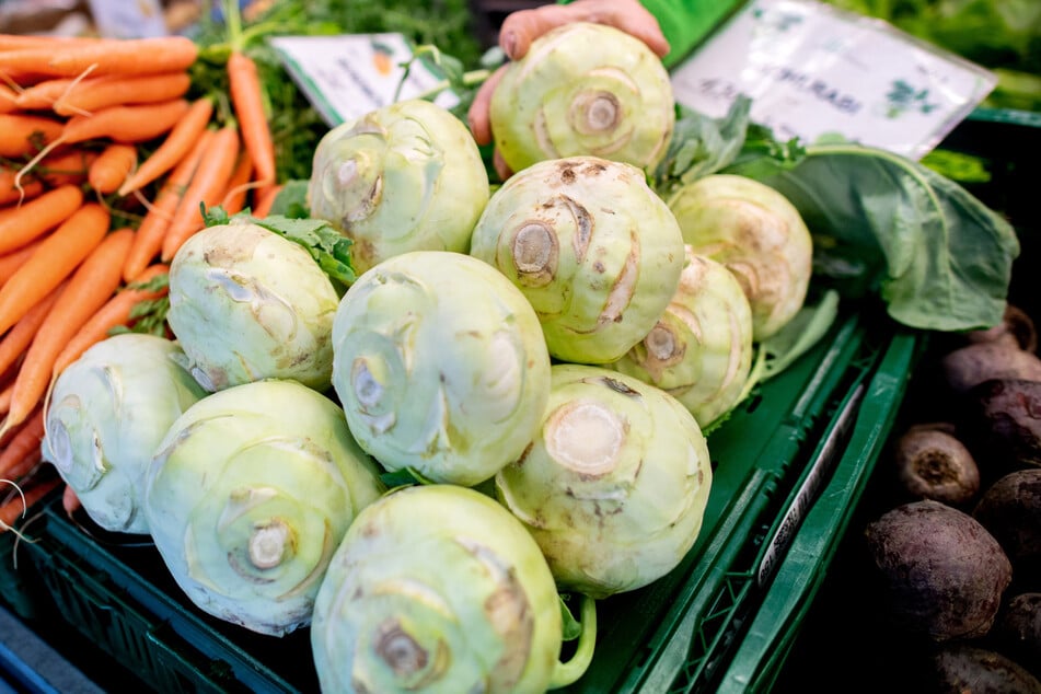 Auch wenn ein Kohlrabi Risse hat, kann man bedenkenlos zugreifen.