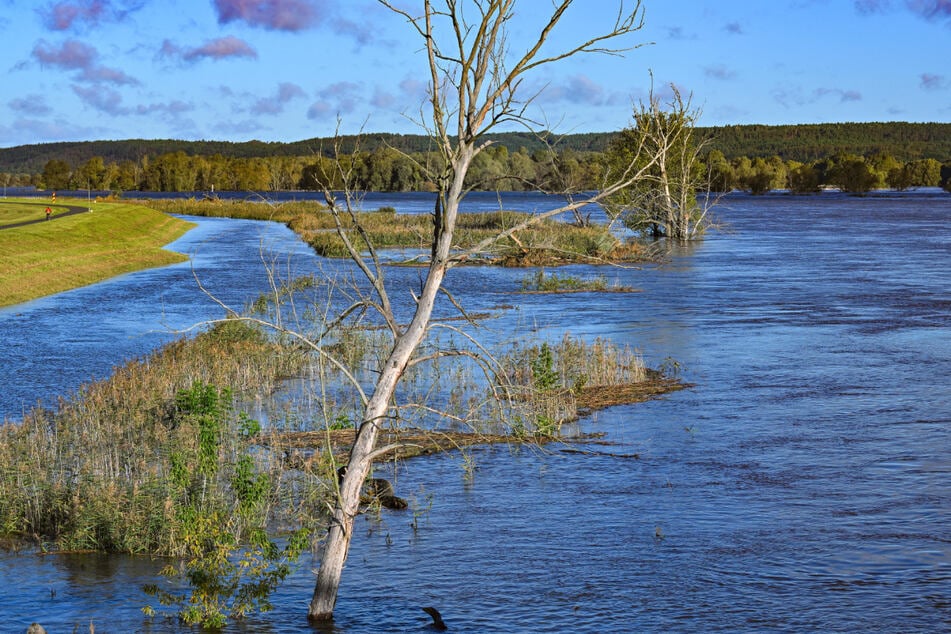 Die Hochwasserlage entspannt sich in Brandenburg immer weiter.