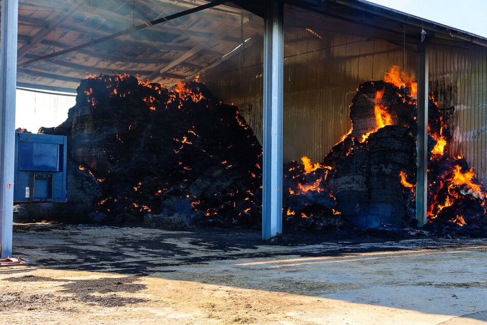 Wie es zu dem Feuer kommen konnte, ist noch unklar und Gegenstand der polizeilichen Ermittlungen.