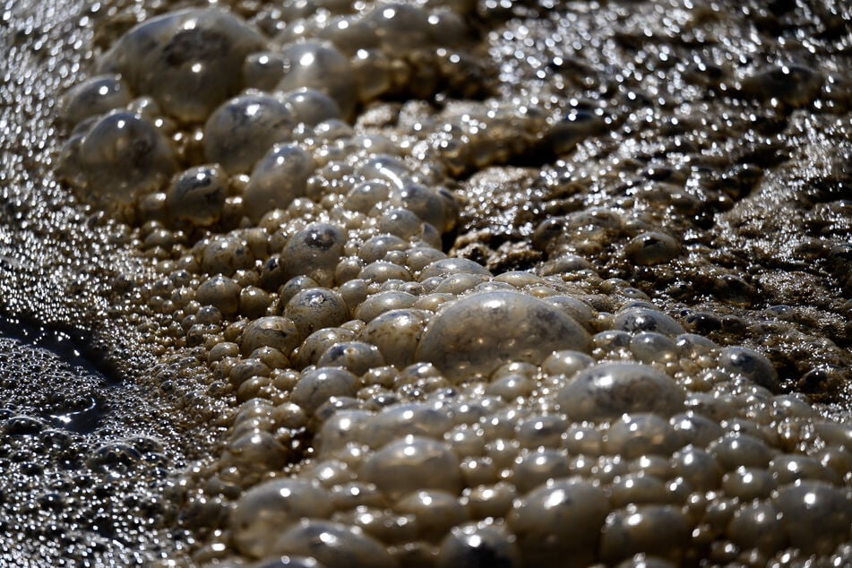 Das Abwasser war stundenlang in die Umwelt geflossen. (Symbolfoto)