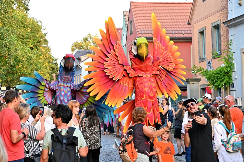 So schön war 2025 das Herbst- und Weinfest Radebeul in Altkötzschenbroda.