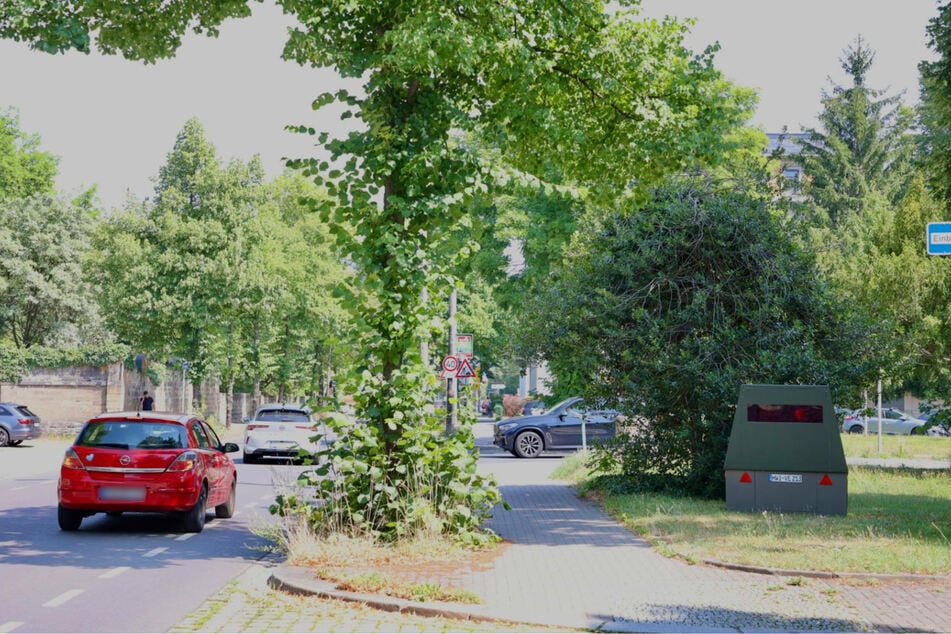 Vor dem riesigen Gebüsch ist die Radarfalle nicht gut zu erkennen. Autofahrer müssen sich in diesem Bereich an die Geschwindigkeitsbegrenzung von 40 km/h halten.