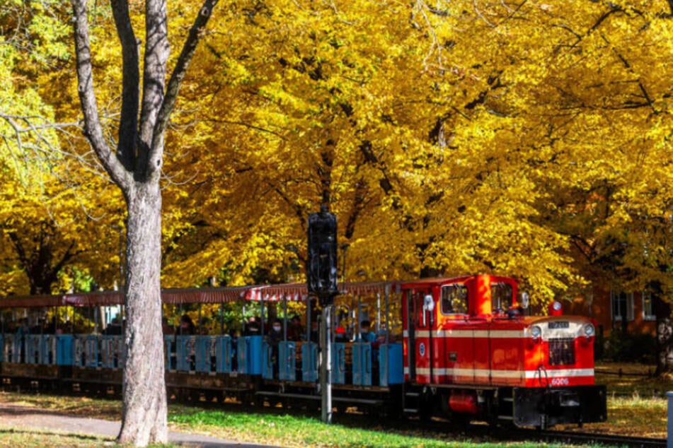 Die Parkeisenbahn fährt noch einmal an diesem Wochenende.