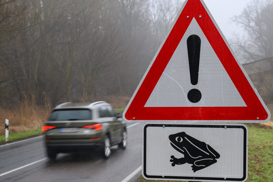 Während der Wanderung von Amphibien hat die Polizei die Geschwindigkeit an einer Straße in Oberbayern gedrosselt. (Symbolbild)