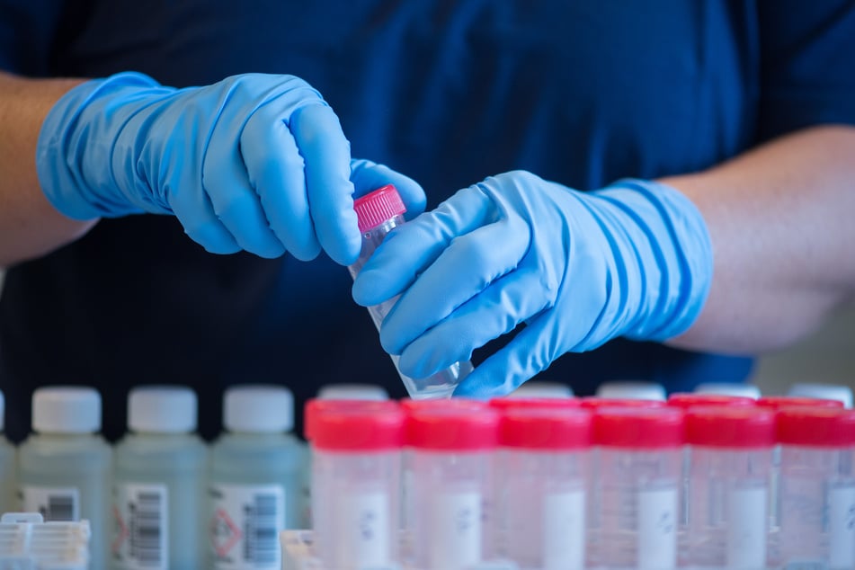 Bereits im Jahr 2024 wurden durch das Landesumweltamt Proben in Hellerau, Lausa und Weixdorf entnommen.